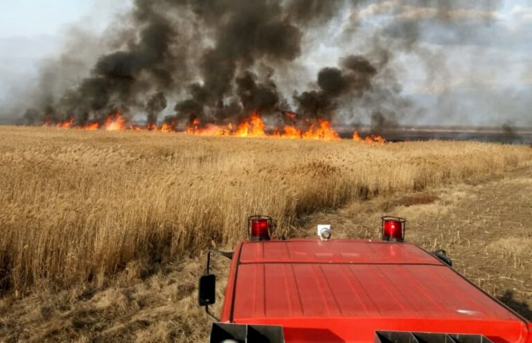 Incendiu într-un lan de grâu la Telenești. Pompierii au salvat 25 de hectare