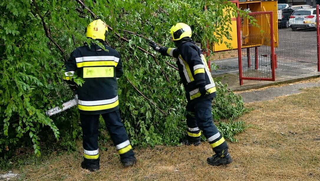 Vremea rea a provocat pagube în mai multe raioane. Pompierii au intervenit în zeci de situații