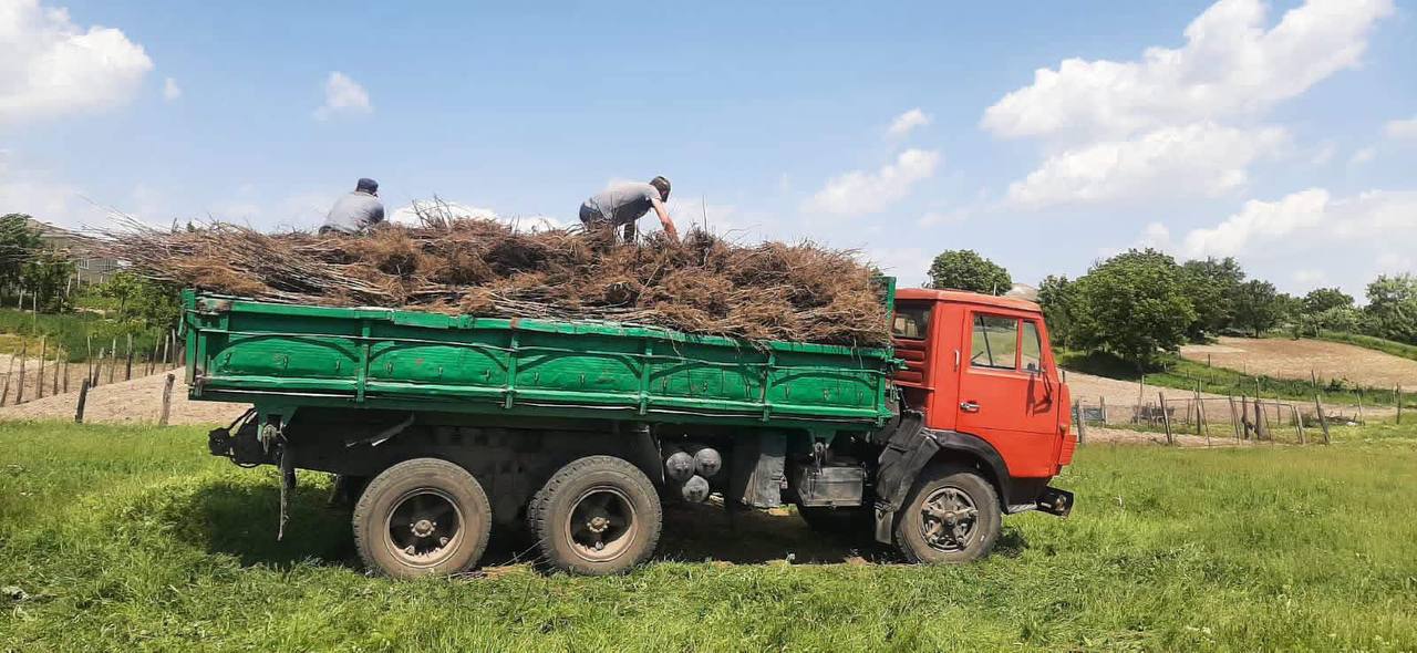 Nereguli la Rezervația Naturală „Pădurea Domnească”. Printre ele, dezastru ecologic și management dezastruos