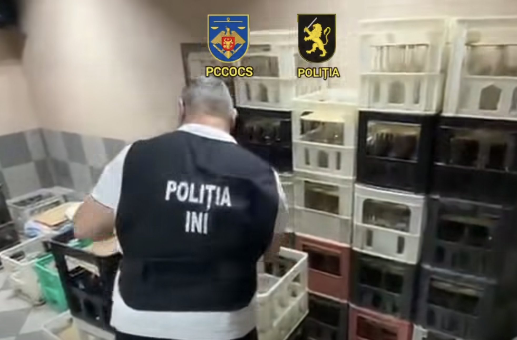 Linie clandestină de producere a alcoolului, destructurată la Chișinău. Ce au găsi oamenii legii