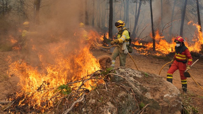 Franța și Spania, sub asediul incendiilor de vegetație. Sute de familii au rămas fără locuințe