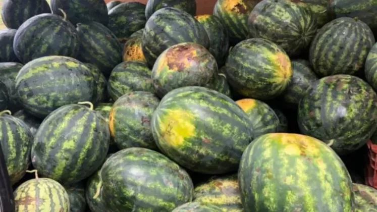 Intoxicații alimentare de la pepenii verzi? Specialiștii explică cum pot fi evitate
