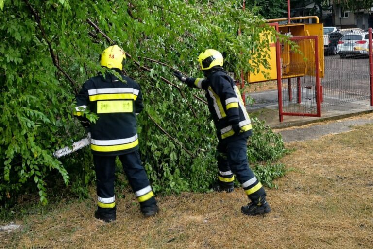 Vântul puternic a doborât zeci de arbori. Salvatorii au intervenit în 10 localități