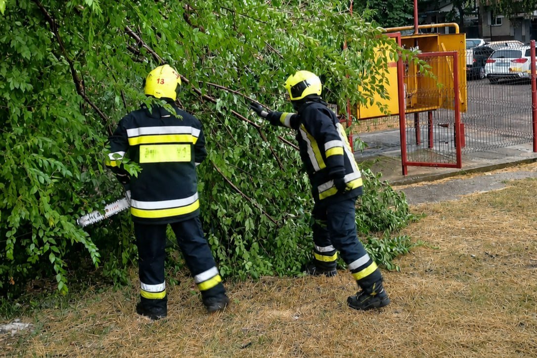 Vântul puternic a doborât zeci de arbori. Salvatorii au intervenit în 10 localități