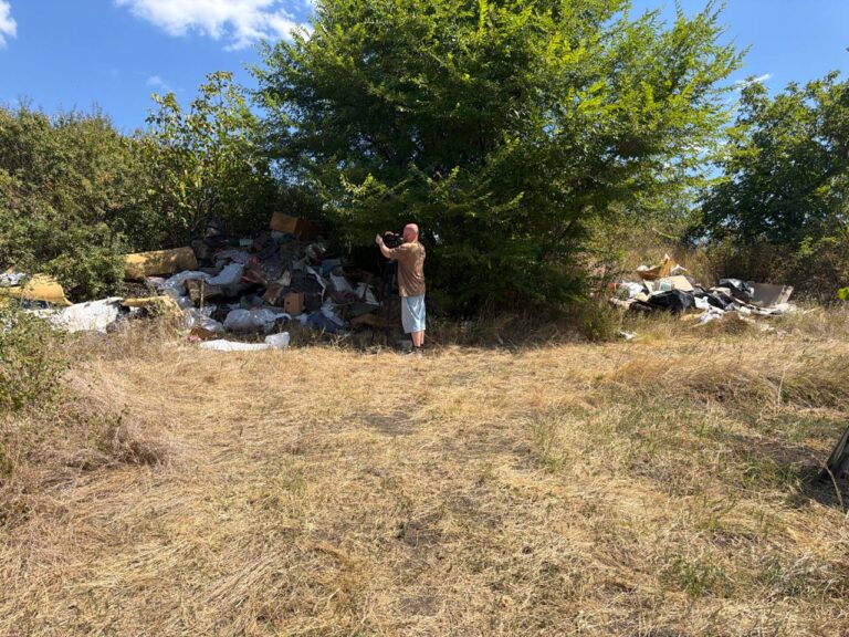 Mormane de gunoi, aruncate lângă o plantație de viță-de-vie din Durlești