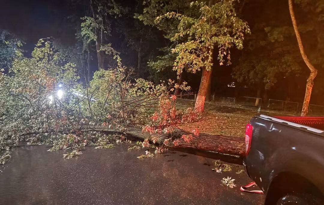 FOTO Arbori prăbușiți peste mașini și fire electrice căzute la Ungheni, în urma ploilor abundente