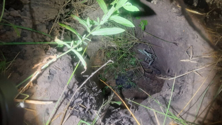 Tunel secret descoperit la granița dintre Belarus și Letonia. 15 migranți au trecut ilegal frontiera