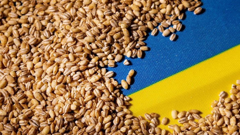 Ucraina vrea să transporte cereale prin Republica Moldova spre Portul Constanța