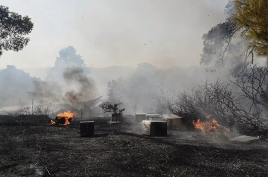 Incendiu de proporții în Halkidiki. Sute de turiști, evacuați inclusiv pe mare