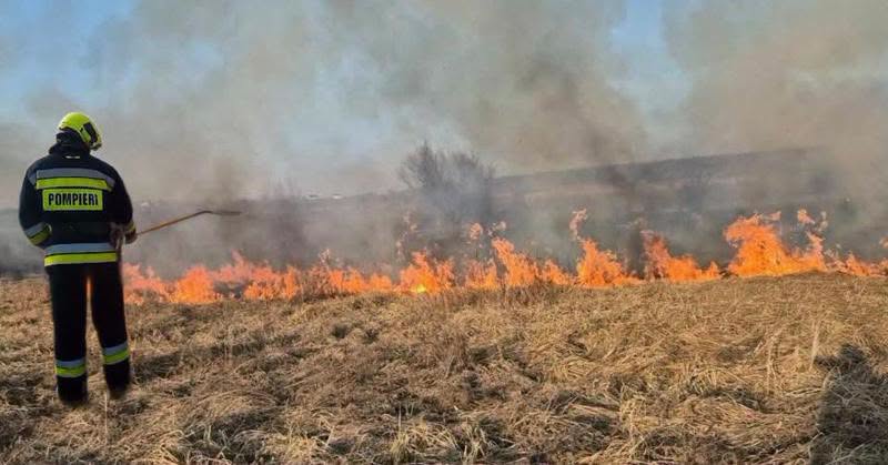 Flăcările au mistuit zeci de hectare: Peste 40 de incendii de vegetație, stinse în 24 de ore