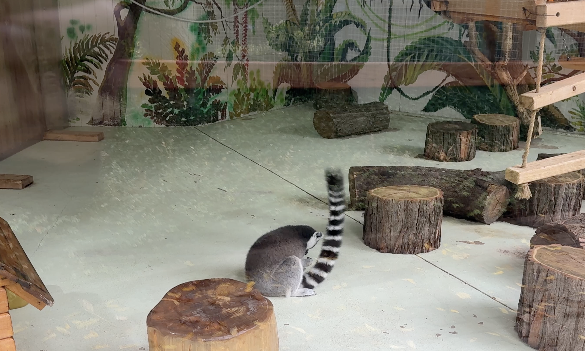 Grădina Zoologică din Capitală își mărește familia cu patru animale exotice