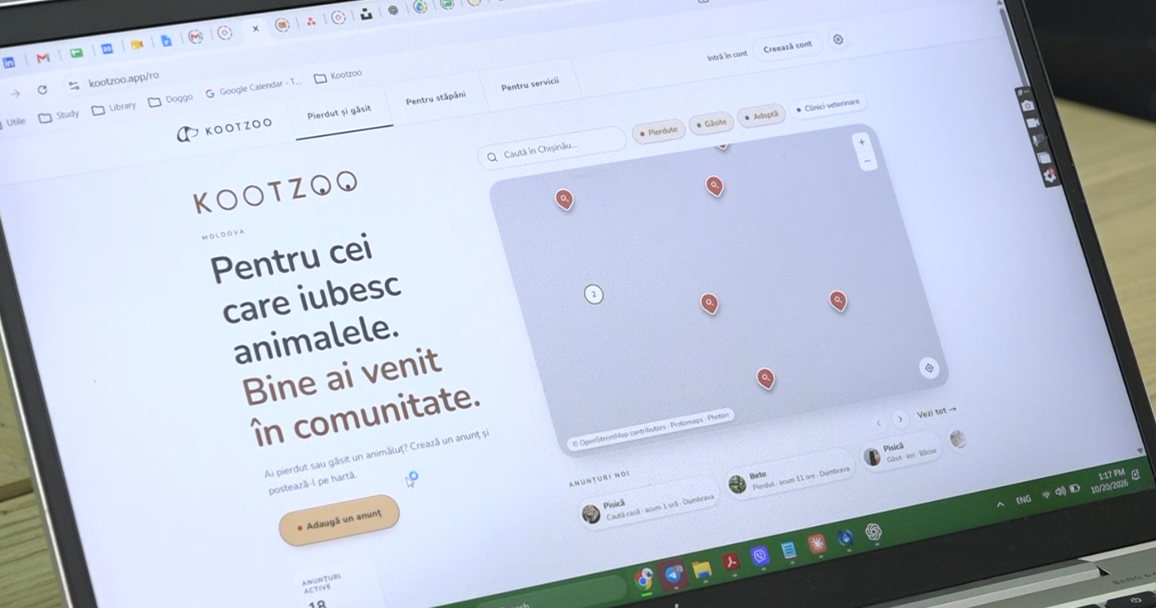 Animalele de companie pierdute, căutate pe o hartă online creată de trei tineri. Cum funcționează platforma